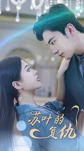 苏叶的复仇全集完结(大结局)