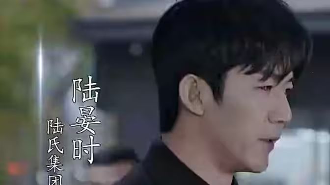 抢婚！陆总蓄谋已久第1-30集