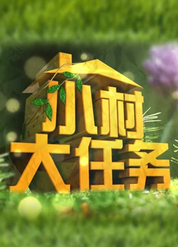 小村大任务第3期