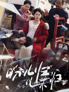 盼儿归儿未归第01-30集(大结局)